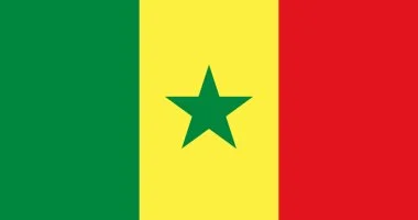 السنغال تطلق مشروعًا ثوريًا يهدف إلى توفير الاتصال الشامل بالإنترنت للمواطنين في جميع المناطق الريفية والحضرية